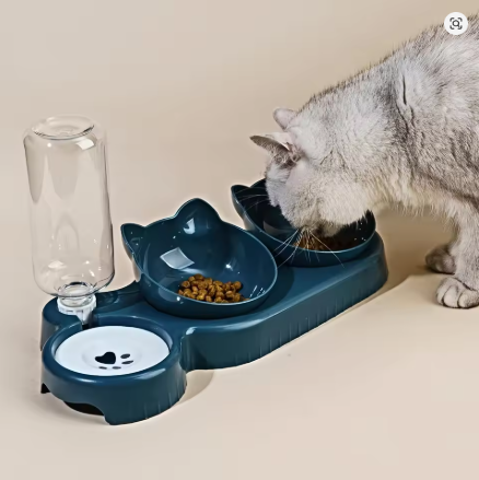 Le Coin Repas Idéal pour Votre Chat – Bols Inclinés 3 en 1